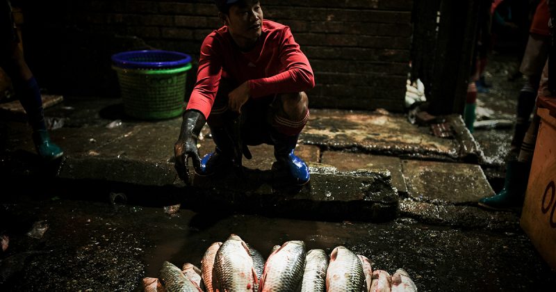 Fischmarkt Yangon