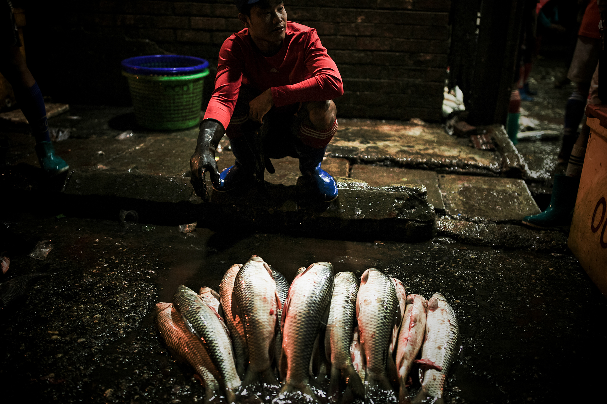 Fische auf dem Fischmarkt in Yangon
