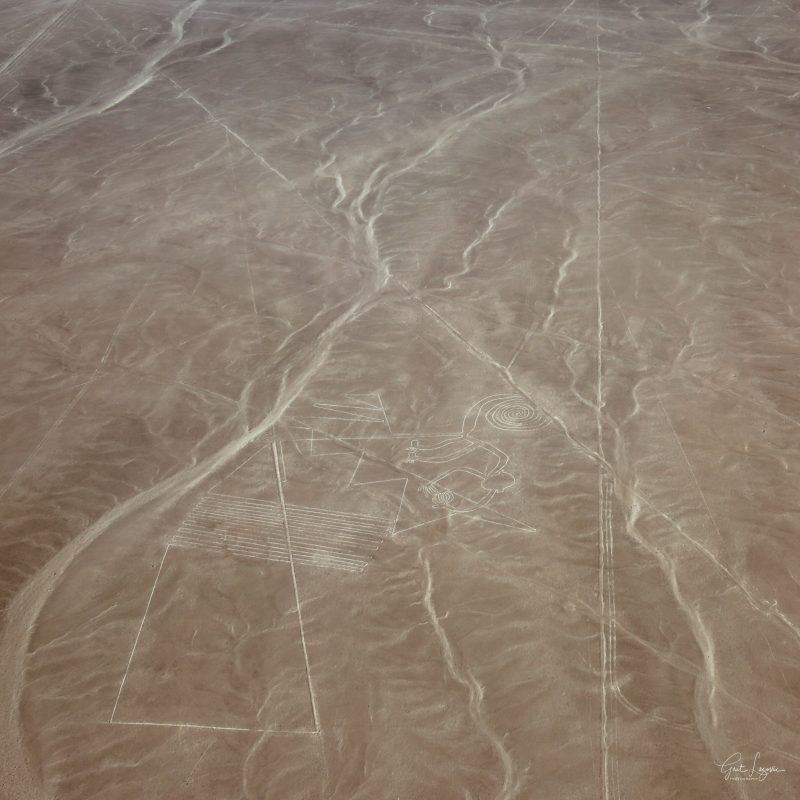 Schaubilder von Nazca