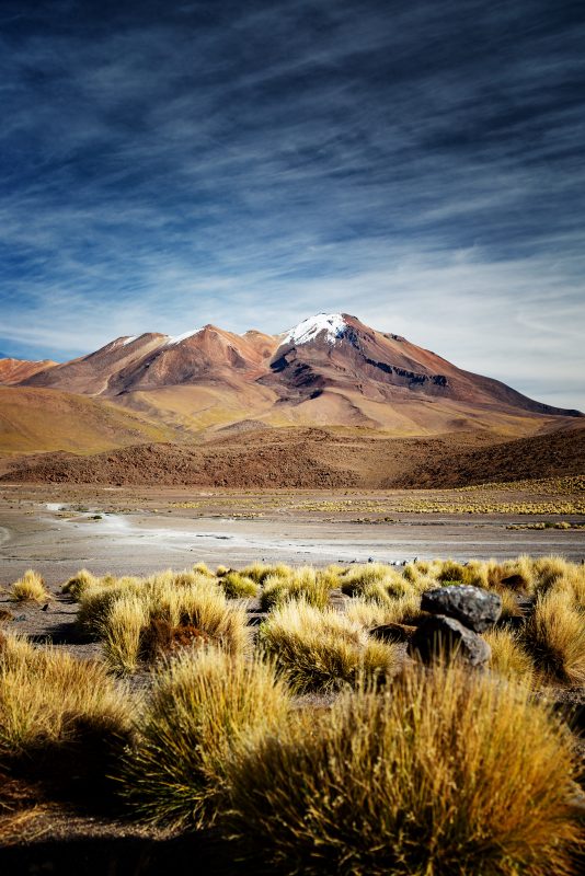 Altiplano Blick zum Vulkan